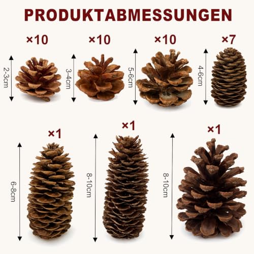 LATRAT 40 Stück Weihnachten Tannenzapfen, Verschiedene Größen Natürliche für Weihnachtsbaum, Handwerk, Geschenke, Thanksgiving, Xmas, Home Decor – Bild 3
