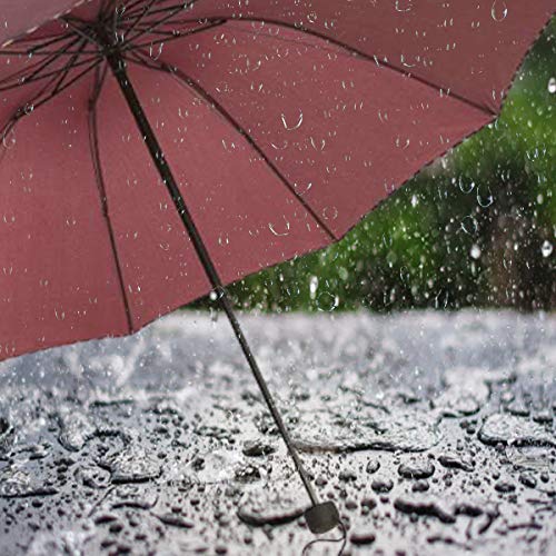 Image of KEKEMI 3 Fold Plain Pipine Umbrella for Men & Women