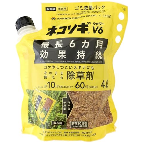 JCY(CAINZ) lR\MV[V6 C ̂܂܎g鏜 S~ʃpbN 4L t Œ6J V[Uz ԏ  G TT XXL hN_~ RP   G΍