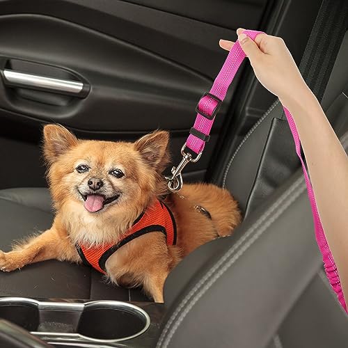 Lollanda Sicherheitsgurt Hund Auto, Hundegurt fürs Auto Sitze mit Reflektierenden Streifen und Pufferseilen, Verstellbarer Hundegurt für Große Mittlere und Kleine Hunde (Rosenrot)
