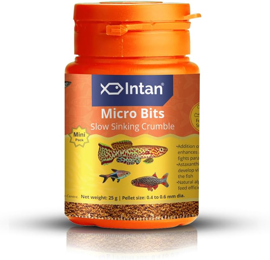 Intan Micro Bits (0.4-0.6mm Slow Sinking Crumble) | 25gm - Highly Nutritious Ornamental Fish Food for Small Mouths - Killifish, Tetras, Rasboras & Danios | Growel Feeds