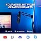 Marantz Professional Pod Pack 1 - Komplettes Podcasting Kit mit Professionellem USB Kondensator Mikrofon, Voll Einstellbarem Ständer und USB Kabel
