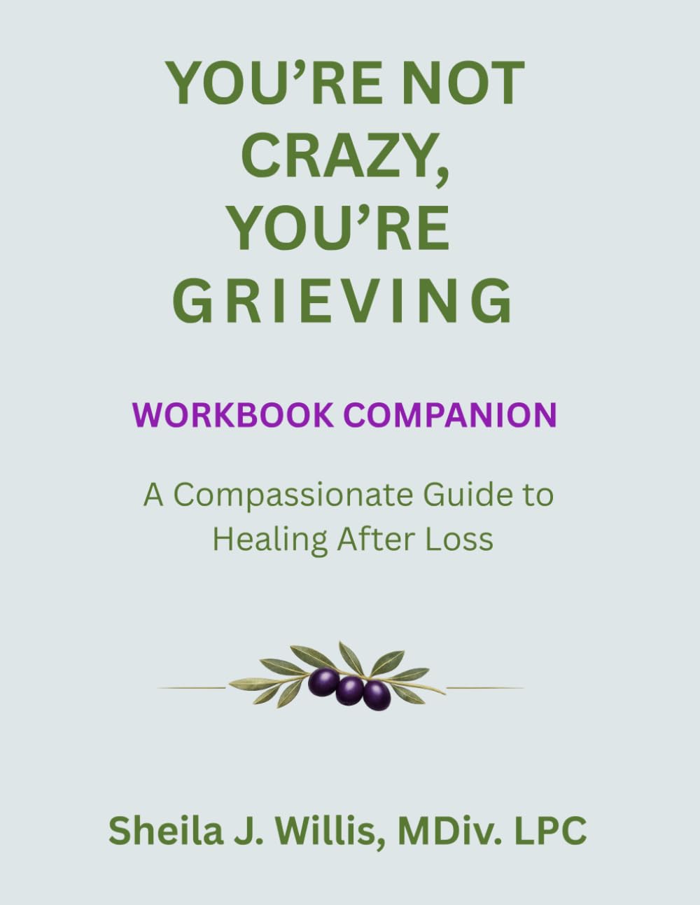 You're Not Crazy, You're Grieving (Workbook Companion): A Compassionate Guide to Healing After Loss