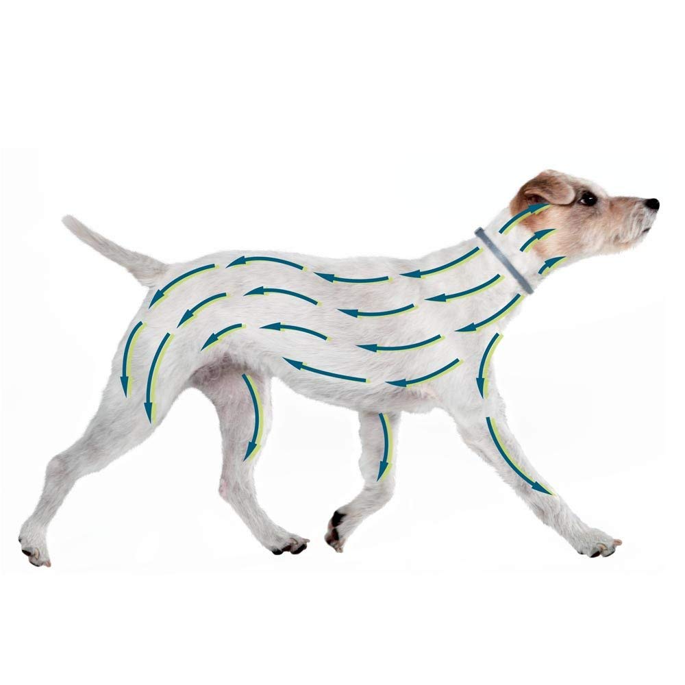 SERESTO Chien – Collier Anti-Puces et Anti-Tiques pour Petits Chiens - Moins de 8KG - 2 Pack