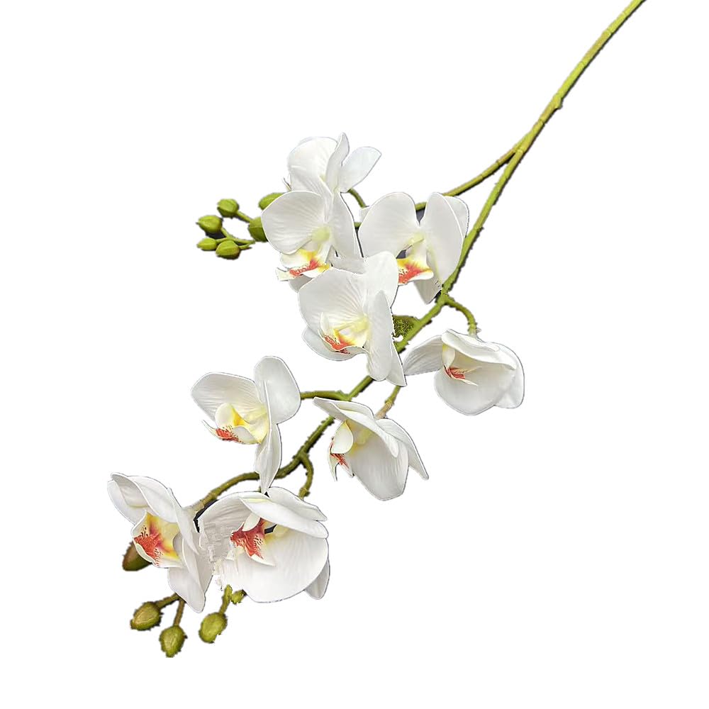 forestmistry 6pcs Latex Butterfly Orchid Flower Two Forks 9 Heads Real Touch Artificial Phalaenopsis (white)