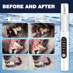 Dog Plaque Remover for Teeth,Dog Tooth Tartar Remover,5 Modes Pet Ultrasonic Tooth Cleaner, Dental Care Teeth Cleaning Kit, Teeth Cleaner for Large and Small Dogs