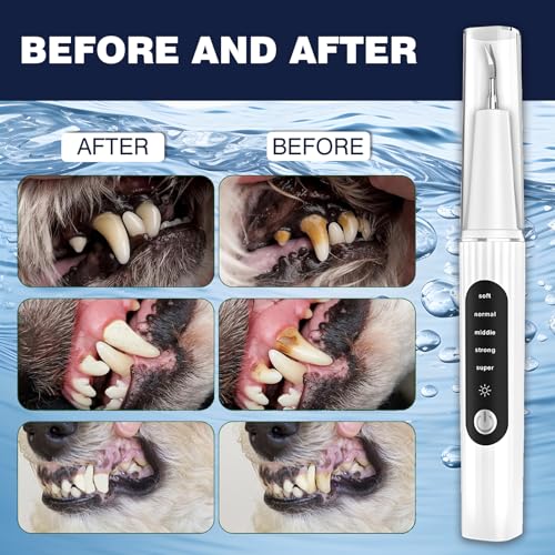 Dog Plaque Remover for Teeth,Dog Tooth Tartar Remover,5 Modes Pet Ultrasonic Tooth Cleaner, Dental Care Teeth Cleaning Kit, Teeth Cleaner for Large and Small Dogs Dog Plaque Remover for Teeth,Dog Tooth Tartar Remover,5 Modes Pet Ultrasonic Tooth Cleaner, Dental Care Teeth Cleaning Kit, Teeth Cleaner for Large and Small Dogs