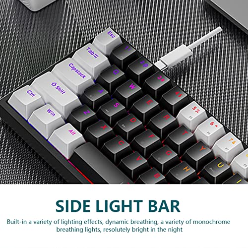 Teclado Mecánico 60% Lovskoo USB-C RGB miniatura 3