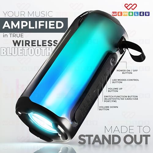 Image of Wembley Bluetooth Speakers Wireless | Rechargeable Karaoke Mic with Speaker | Portable Karaoke System for Home | Mic for Kids for Singing | Mike for Kids with Speaker | RGB Lights | 5 Voice Effects