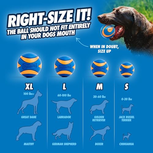 Image of Chuckit! Ultra Squeaker Dog Ball - Extra Large Bouncy and Squeaky Pet Toy for Dogs 100+ lbs - Floats on Water - Durable Rubber - 3.5 inch Diameter - Size XL (Pack of 12)