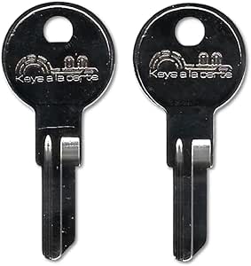 KEYSALACARTE SP1 Key – Replacement for Pundra – Cut on IN8 Key Blank ...