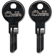 W463 Key Replacement for Hudson, National, ESP, Global, Pundra, Wesko Cut on IN8 Key Blank