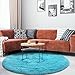 Gifeas Blue Round Rug for Girls Bedroom, Fluffy Circle Carpet 4'X4' for Kids Room Decor Shaggy Circular Rug for Baby Nursery Dorm Upgrade Fuzzy Plush Rug for Living room Cute Room Decor for Teens Baby