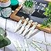 Wettarn 64 Pieces Greenery Flip Sticks for Classroom Fun Flip Name Sticks with 1 Storage Cup for School Teacher Student Grouping Educational Learning Activities Desk Supplies
