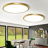 12 Inch Gold LED Ceiling Light Flush Mount, 5000K Daylight White Flat LED Ceiling Light, 24W 3200LM,