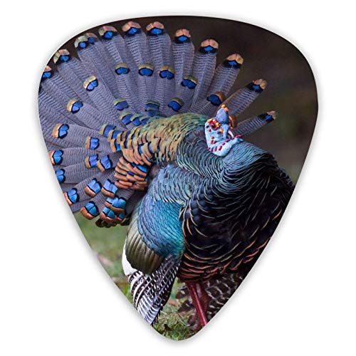 Médiators guitare Blue Turkey Bird 12 pièces médiators ukulélé 0,46 mm 0,71 mm 0,96 mm - Les Beatles, Paul McCartney, John Lennon, RIngo Starr, George Harrison Médiators guitare Blue Turkey Bird 12 pièces médiators ukulélé 0,46 mm 0,71 mm 0,96 mm
