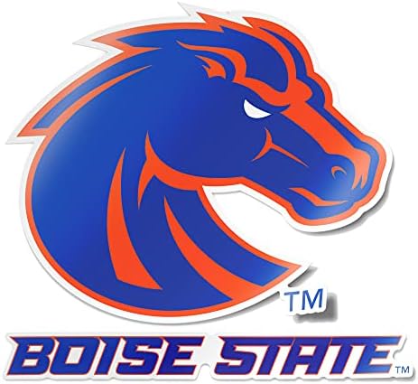 Amazon.com: Desert Cactus Rochester Institute of Technology Stickers ...