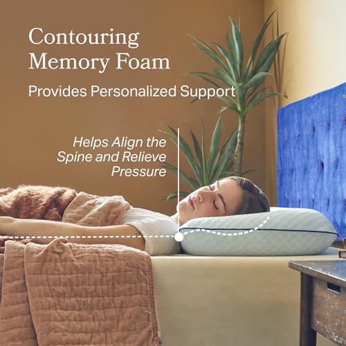 Memory Foam Pillow