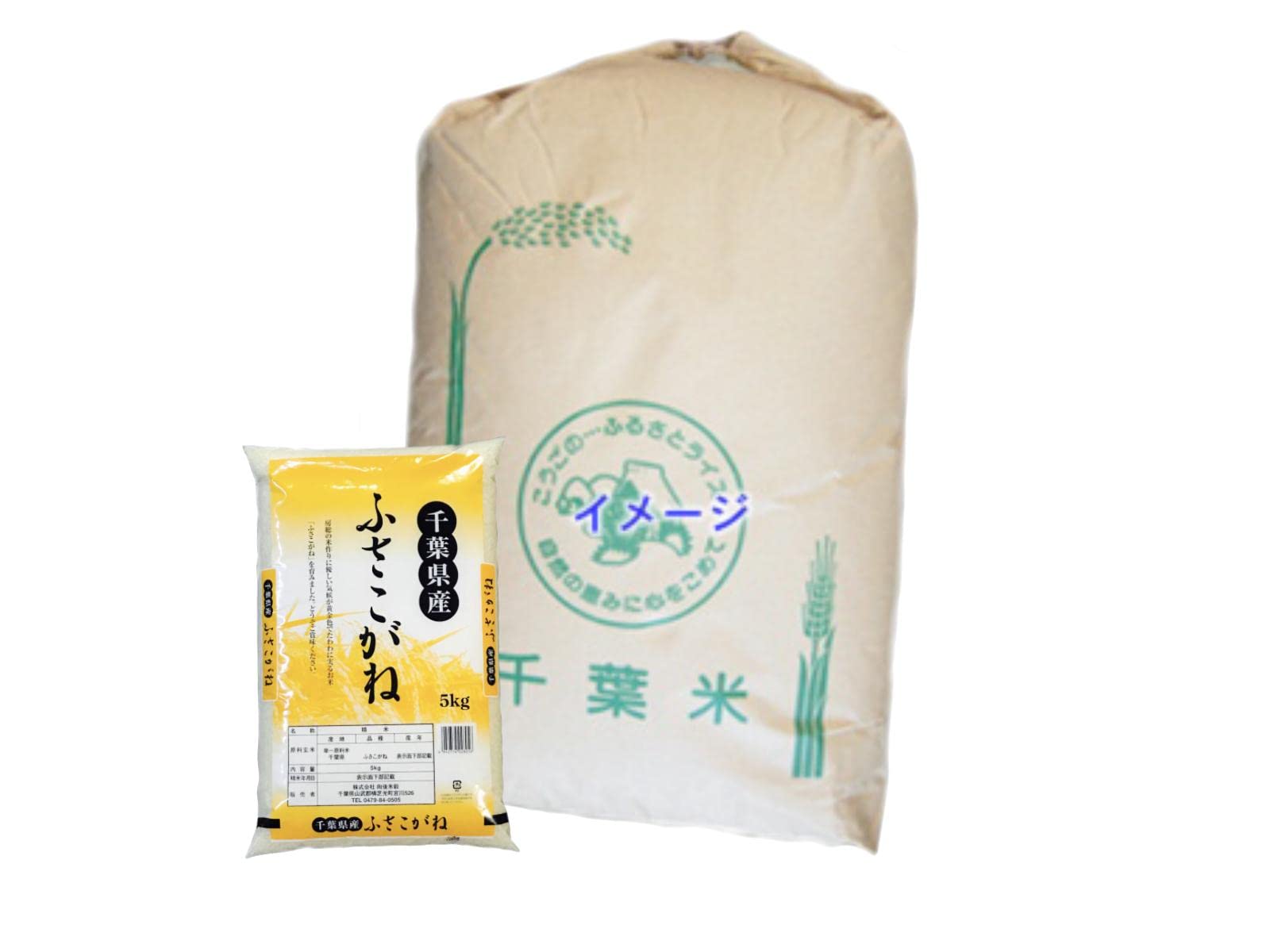 Amazon.co.jp: 千葉県産 玄米 ふさこがね 30kg 令和6年産 向後米穀 