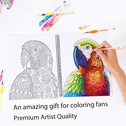 Glitter Gel Pens - Color Gel Pens - Gel Pen for Kids - Coloring Gel Pens Set - Sparkle Gel Pens for Adults Coloring Books Doodling Bullet Journaling