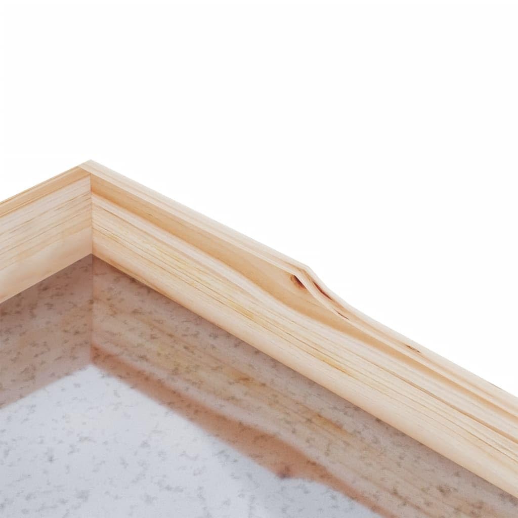 ShGaxin Mesa para Plantas con estantes Madera Maciza Abeto 78x38x82,5cm, Invernaderos Huerto, Banco De Trabajo De Jardinería, Banco De Trabajo para Macetas, Mesa De Jardinería - 156352