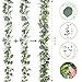2 Pcs Artificial Eucalyptus Garland,5.9FT Greenery Garland with White Flowers,Faux Silver Dollar Fake Vines Hanging Green for Table Centerpieces Arch Wedding Backdrop Party Indoor Outdoor Decoration