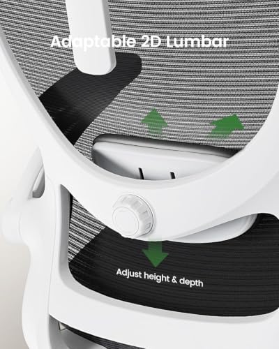 Image of Marsail Ergonomic Office Chair with 3D Armrests, Pack of 2