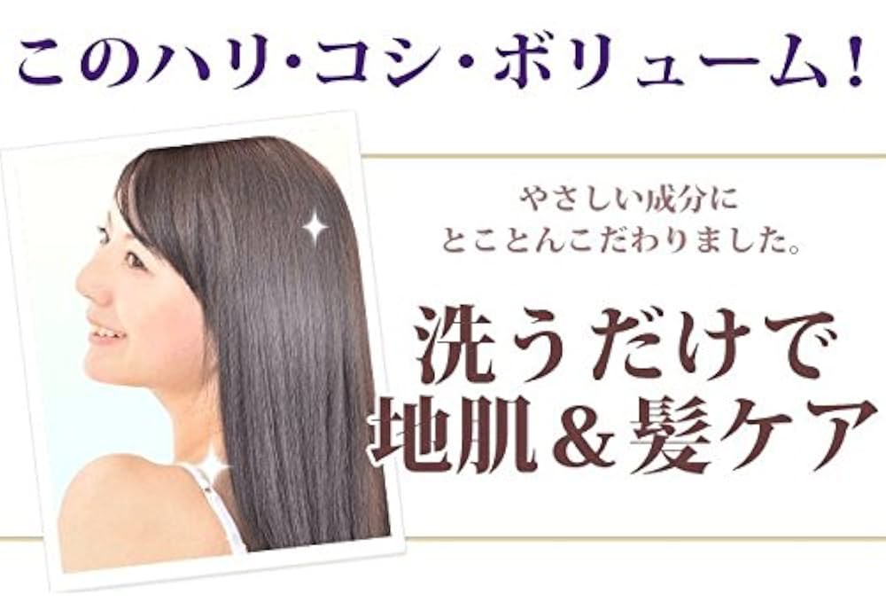 ナチュラルガーデン ブラックケアナチュラルスカルプシャンプー 600m2本セット Black Care ブラックケアシャンプーKD 600ml 2本セット リンス