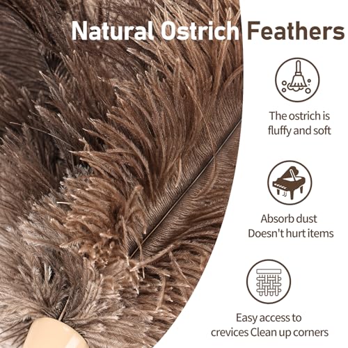 Image of Ostrich Feather Duster 27-94Inch Retractable Fluffy Natural Detachable Ostrich Feather Duster Used for Household Cleaning and High-Altitude Cleaning (2PCS)