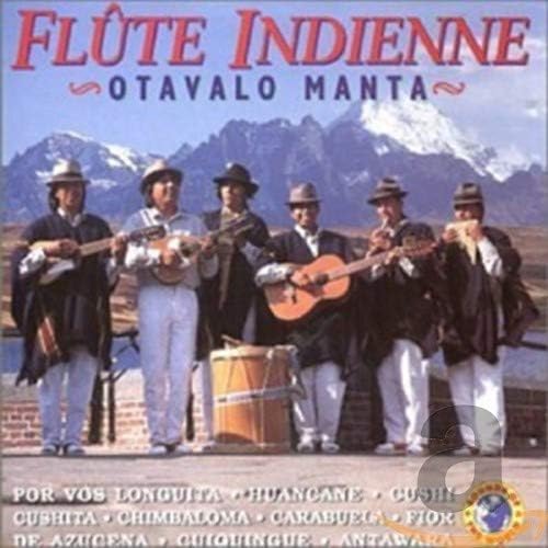 Flute Indienne
