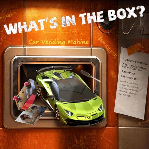 AEROQUEST 1:24 Lamborghini RC Car