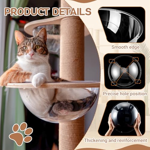 image for Yalikop 3 Pcs Acrylic Dome Cat Bubble, 12.6