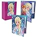 Disney Frozen 2-pocket Portfolio Folder (Color/graphics Vary)
