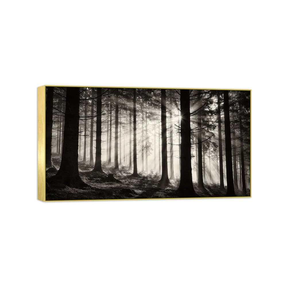 Tree Sunshine Black White Landscape Canvas Picture 70x125cm Gold Frame