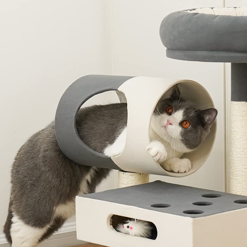 Centro de Actividades para Gatos Marco de Escalada for Gatos, Arena for, árbol for, un Juguete for, Tabla for rascar sisal, pequeña Columna for, Marco for Villa Cat