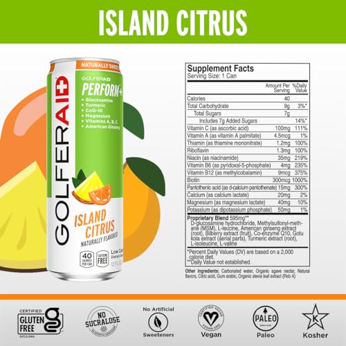 Image of GOLFERAID Performance Blend, Up Your Golf Game, No Caffeine, Glucosamine, Turmeric, MSM, CoQ10, B-Complex,BCAAs and Electrolytes, 45 Calories, 100% Clean, Paleo, Vegan, 12-oz. cans (Pack of 4)