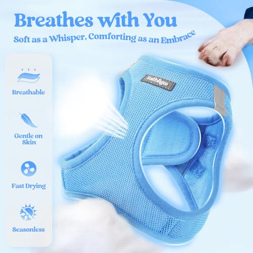Image of rabbitgoo Dog Harness Small Sized and Leash Set, Step-in Puppy Pet Vest
