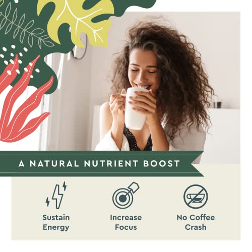 Té Matcha en polvo 6 oz sin azúcar miniatura 4