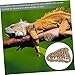 UKCOCO Reptile Hammock Lizard Hanging Hammock Pet Supplies Snake Bed Lizard Nest