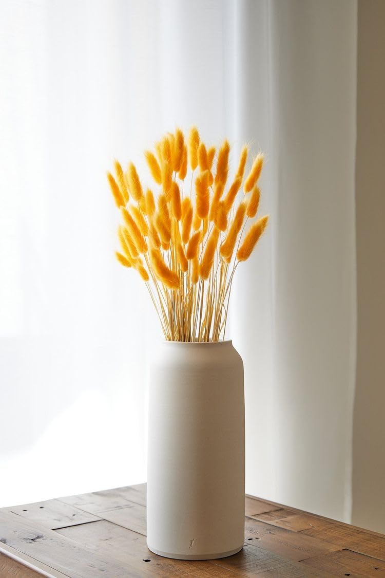 CLOUD INDIA Tail Dried Pampas Grass (50-60 Stems) for Home & Office Decor Natural Dried Pampas Grass, Decoration - Boho, Wedding Flower Arrangement, Home Decor (Yellow)