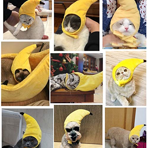 UkYukiko - Cappello a forma di banana per animali