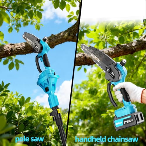 Image of Cordless Pole Saw for Tree Trimming, 6 inch & 8 inch Chainsaw with Extension Pole