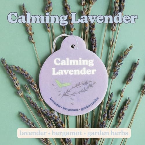 Image of Happy Wax Clean Mix Car Charms 4-Pack Included Scents: Lemon Verbena, Fresh Cotton, Happy Days, Calming Lavender