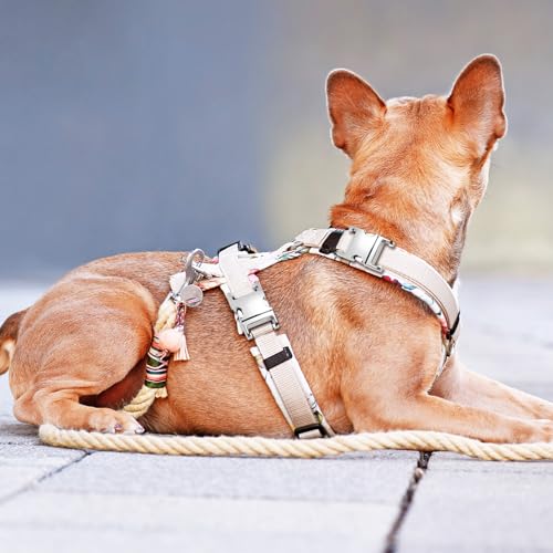 [LAPYAPPE] 6 ^obN ܔz ϋv NCbN[X Xgbvp obO n[lX p i ANZT[