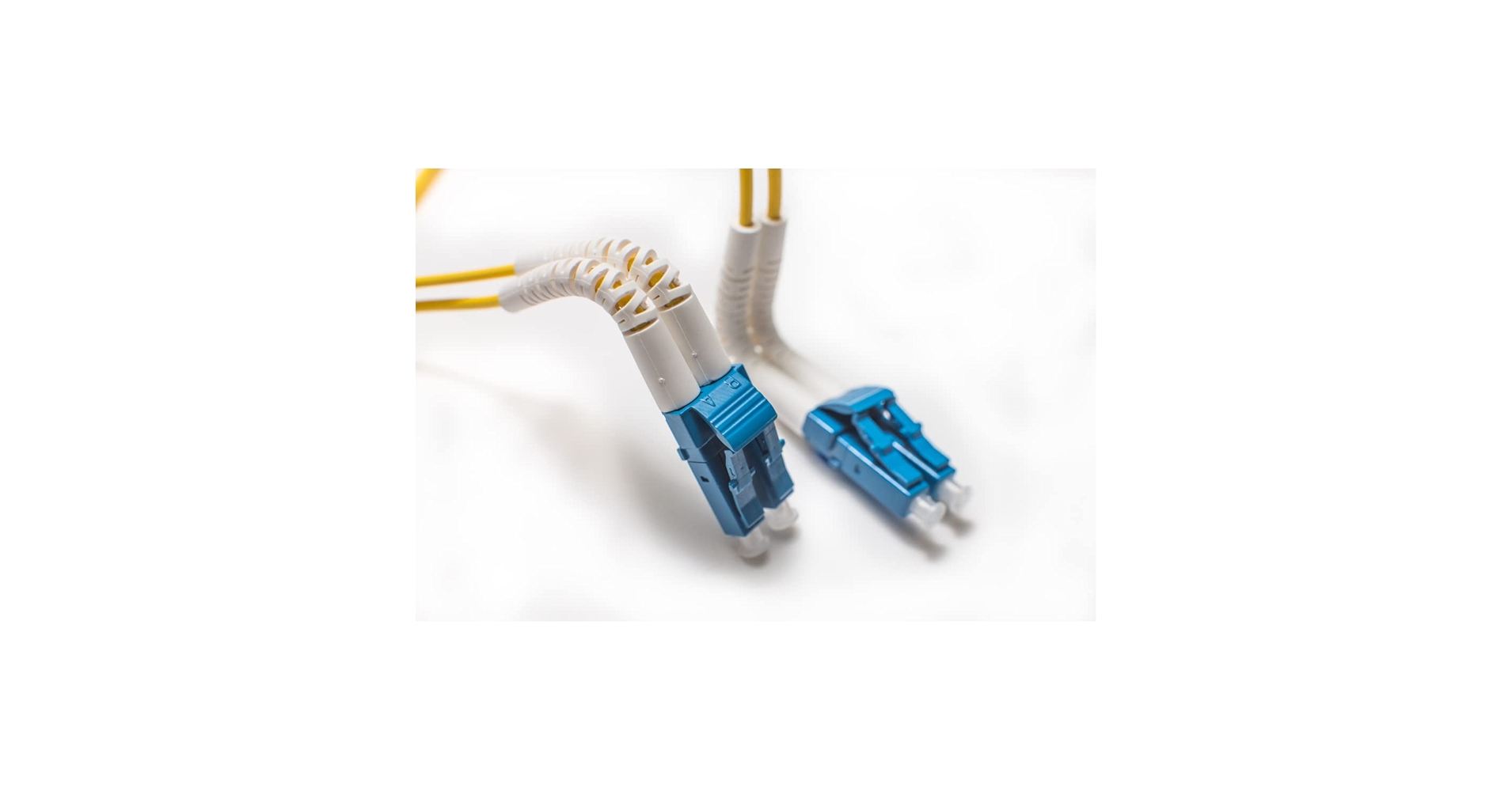 LAGNET 2個 51iDtuzClxL.jpg_BO30,255,255,