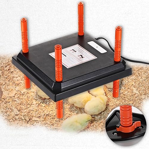 Top 10 Large Chicken Brooders The Ultimate Buying Guide for Poultry