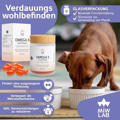 Omega 3 für Hunde & Katzen 60 Fischöl 1000mg EPA + DHA + Taurin + Vitamin E Kapseln für Glänzendes Fell Starke Gelenke & EIN Gesundes Immunsystem Mächtig und Sichere Kleiner und Großer Hund und Katze
