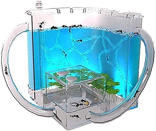 Ant Nest Ant Castle Ant Farm Habitat, Ant House Tunnels With Coconut Tree Ant Workshop For Kids And Adults Live Ants