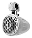 Rockford Fosgate M262B-WAKE M2 Wakeboard 6.5-Inch Tower Speaker