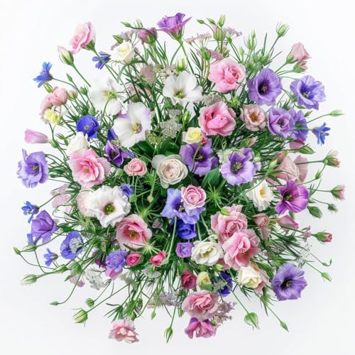 Mixed Lisianthus Flower Seeds for Planting 100 pc Lisianthus Seeds for Planting As Shown in the Images